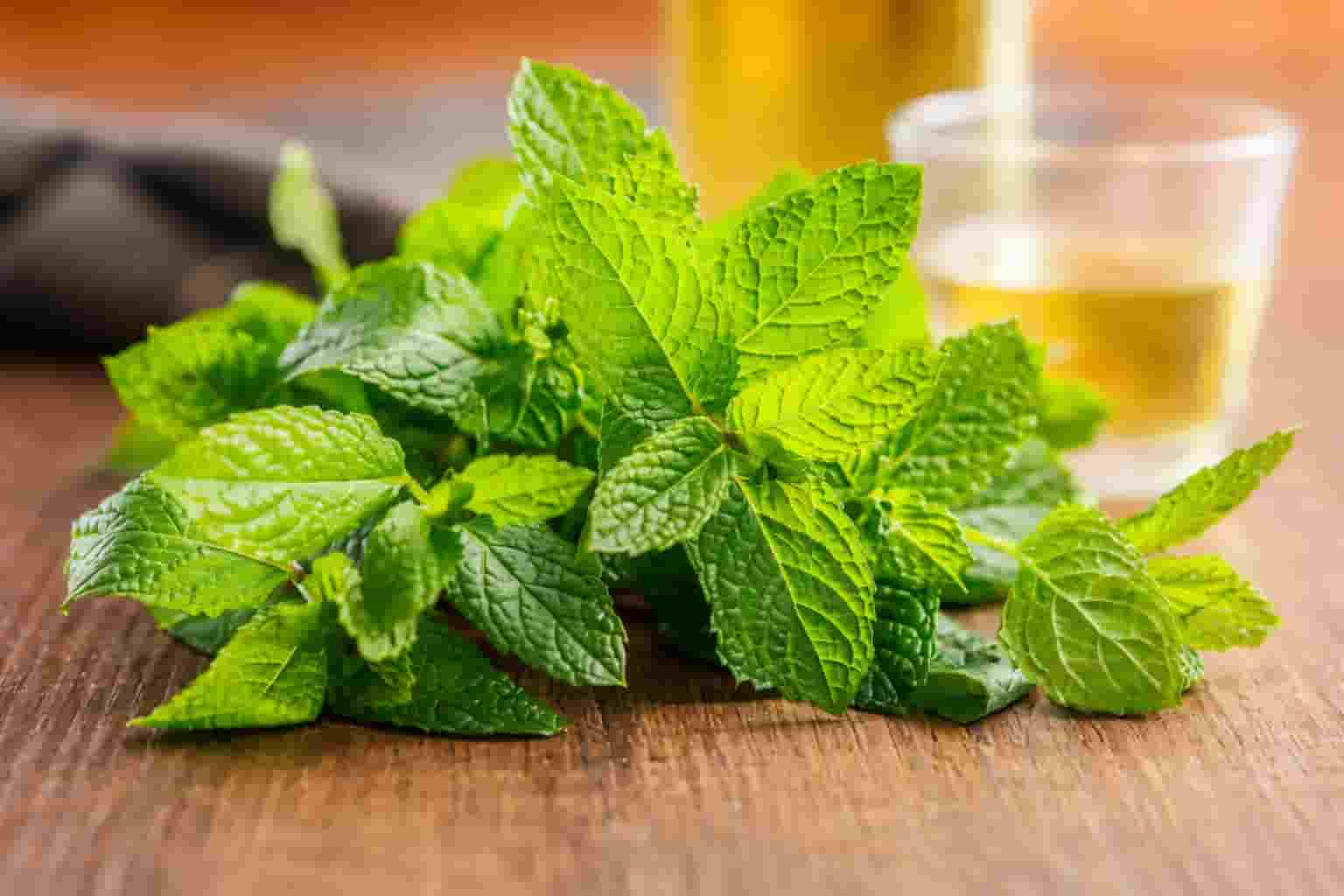 Fresh peppermint leaves representing natural soothing ingredients
