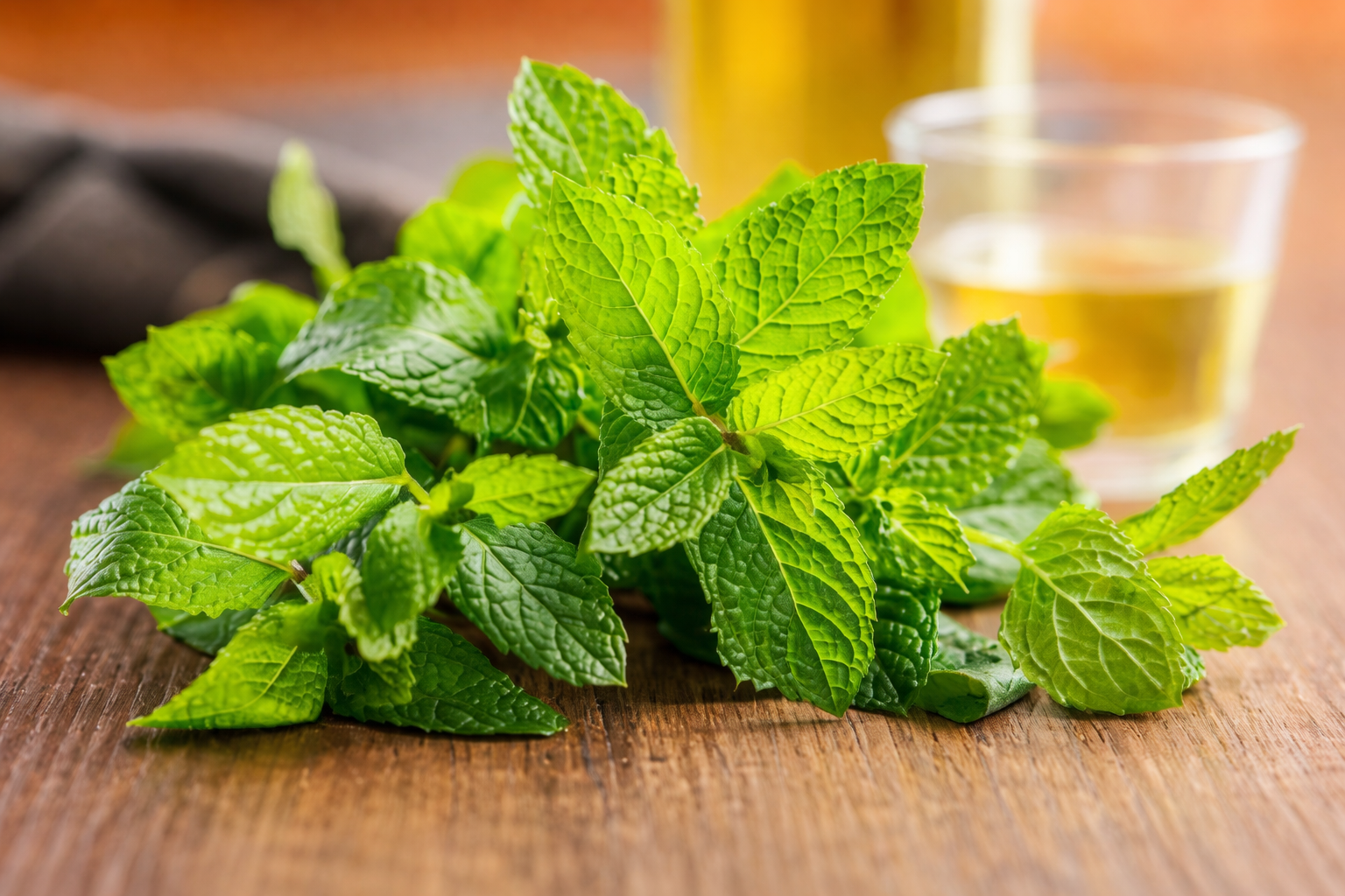 Fresh peppermint leaves representing natural soothing ingredients